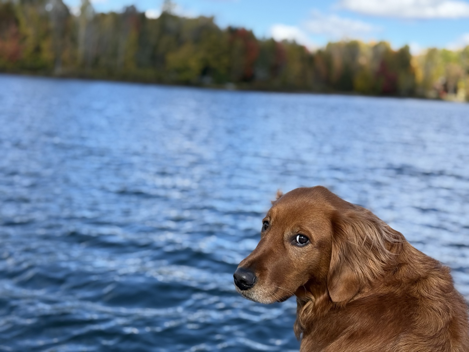 Zoe looking back beside the lake