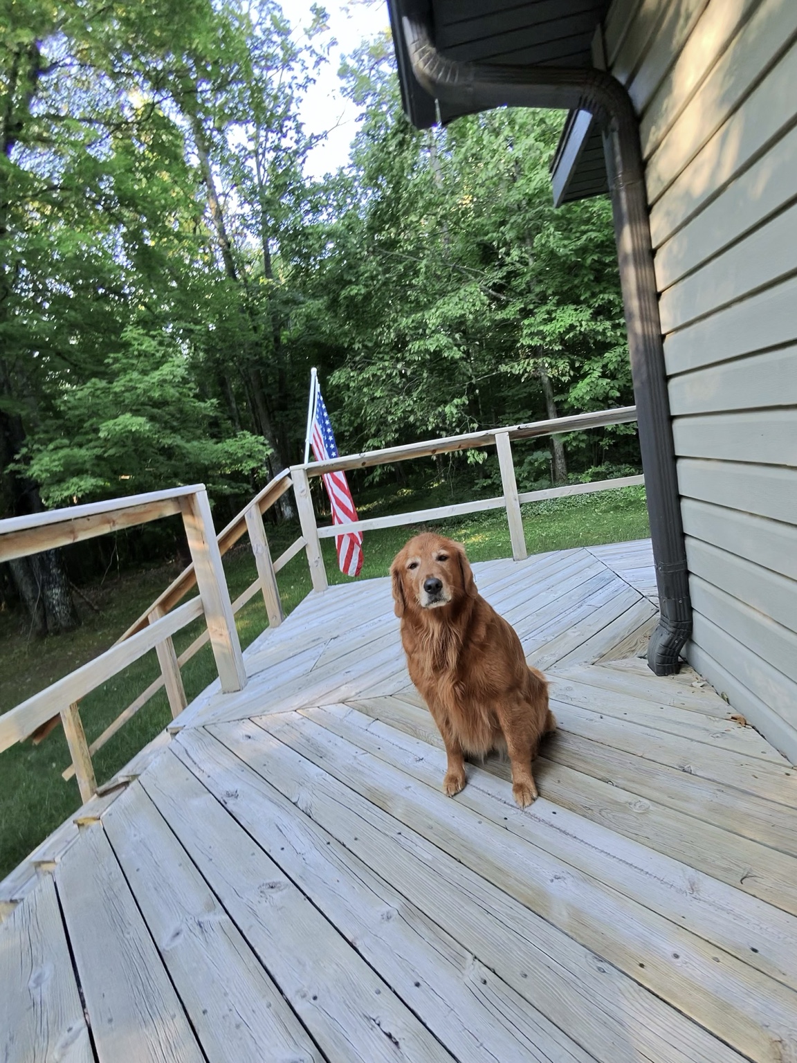 Zoe seated on a lakeside deck