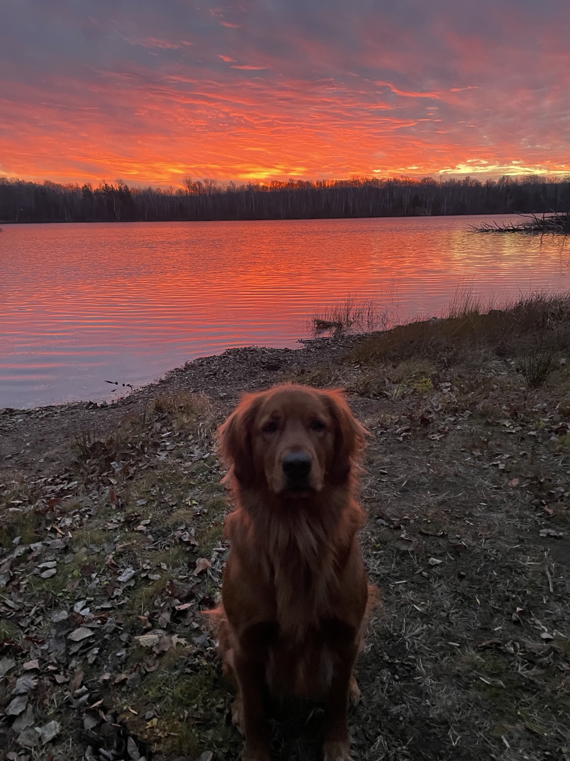 Zoe at the lakeshore under a dramatic sunset