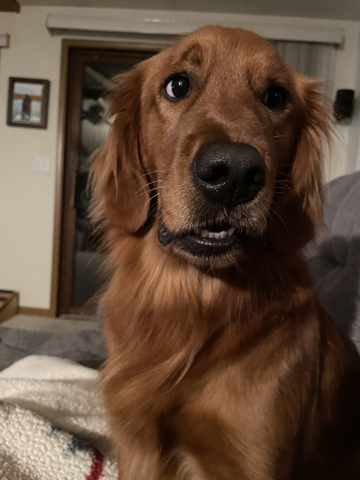 Close-up portrait showing Zoe’s front-tooth gap