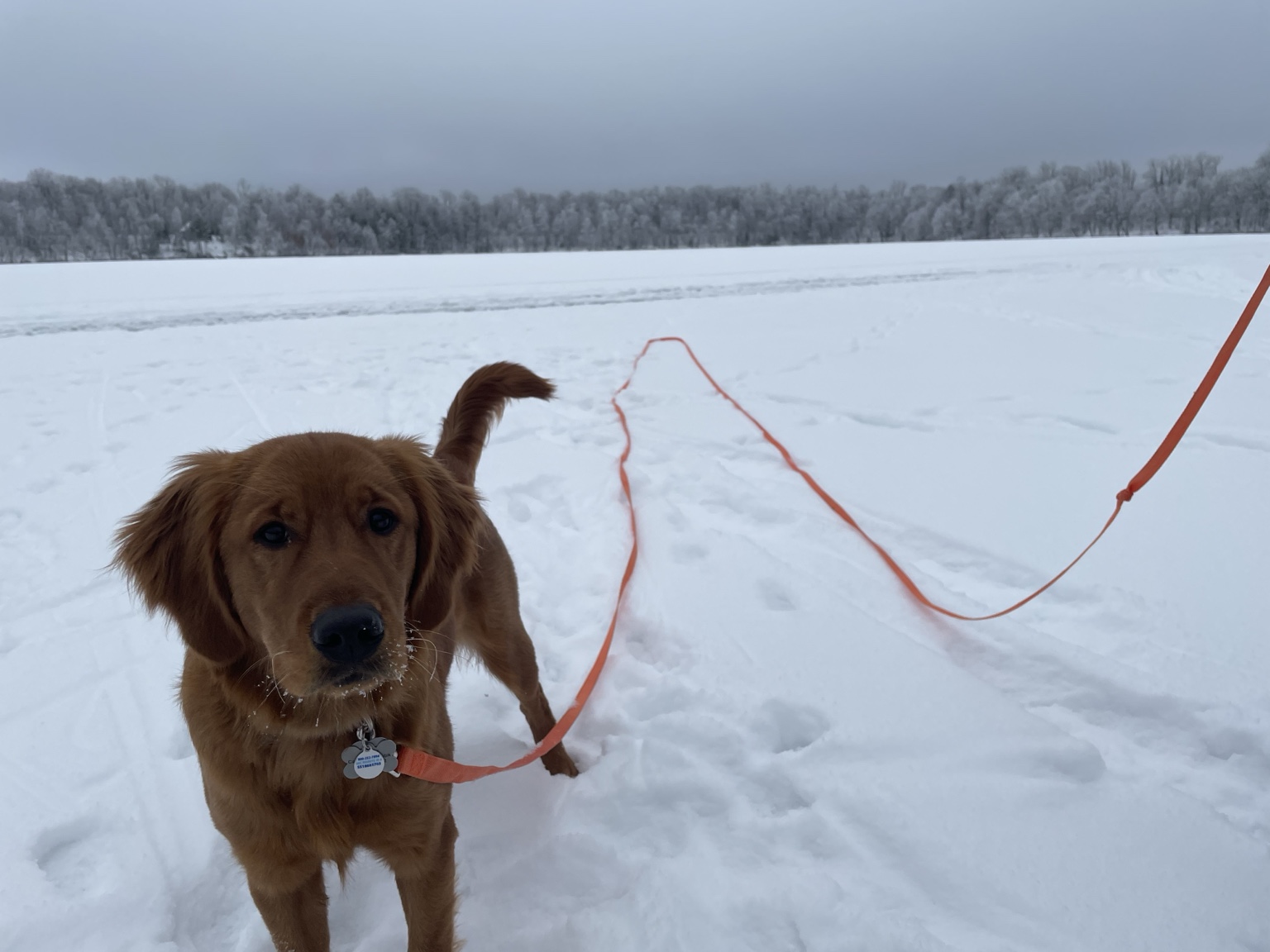 Young Zoe outside on a snowy lake