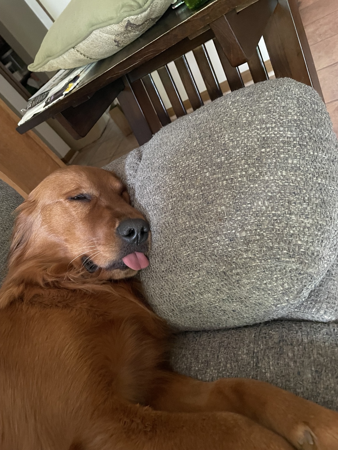 Zoe asleep with her tongue sticking out